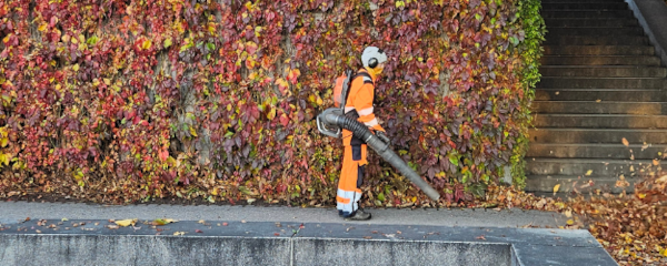 snø illustrasjonsbilde