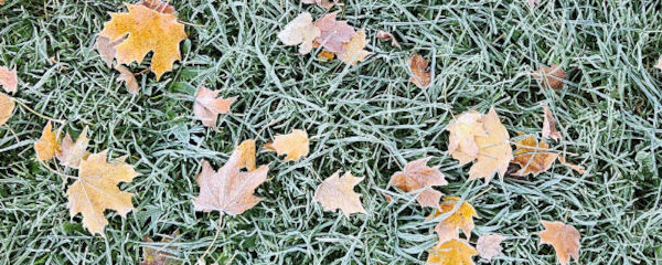 snø illustrasjonsbilde