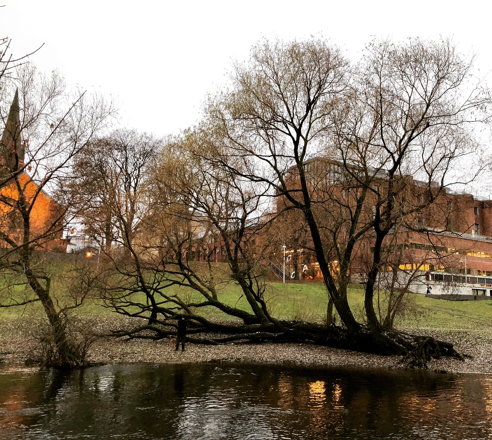 Administrasjonen oppsummerer annerledesåret 20205.jpg