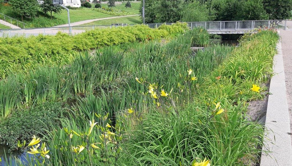 Bjerkedalen Park i Oslo er Årets Grønne Park 20192.jpg