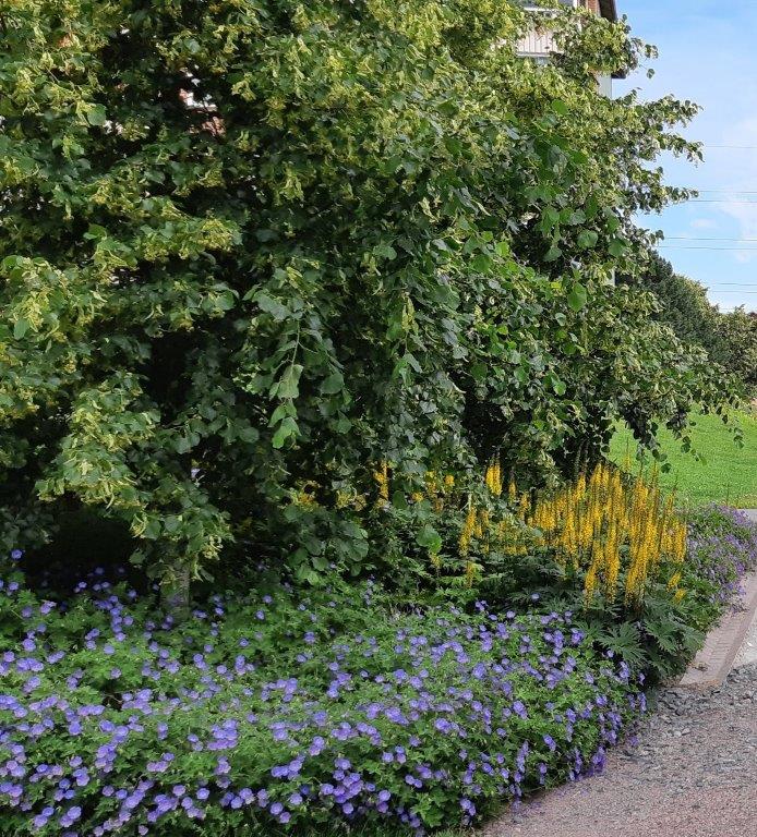 Bjerkedalen Park i Oslo er Årets Grønne Park 20198.jpg