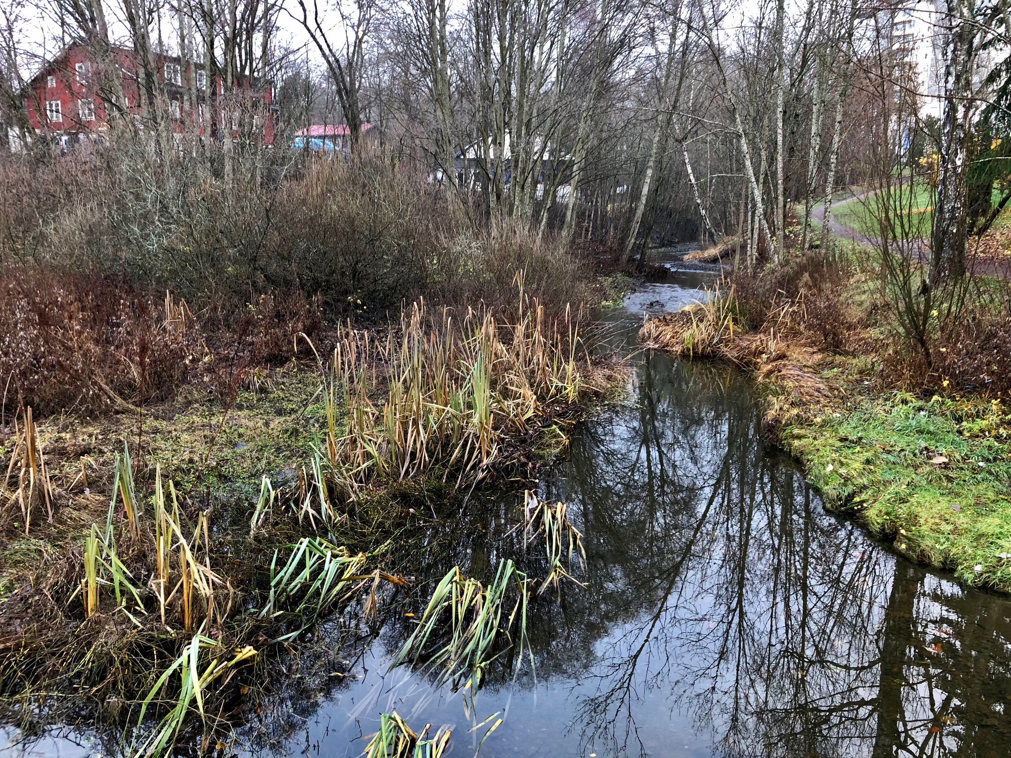 Blågrønn faktor for boliger i Oslo4.jpg