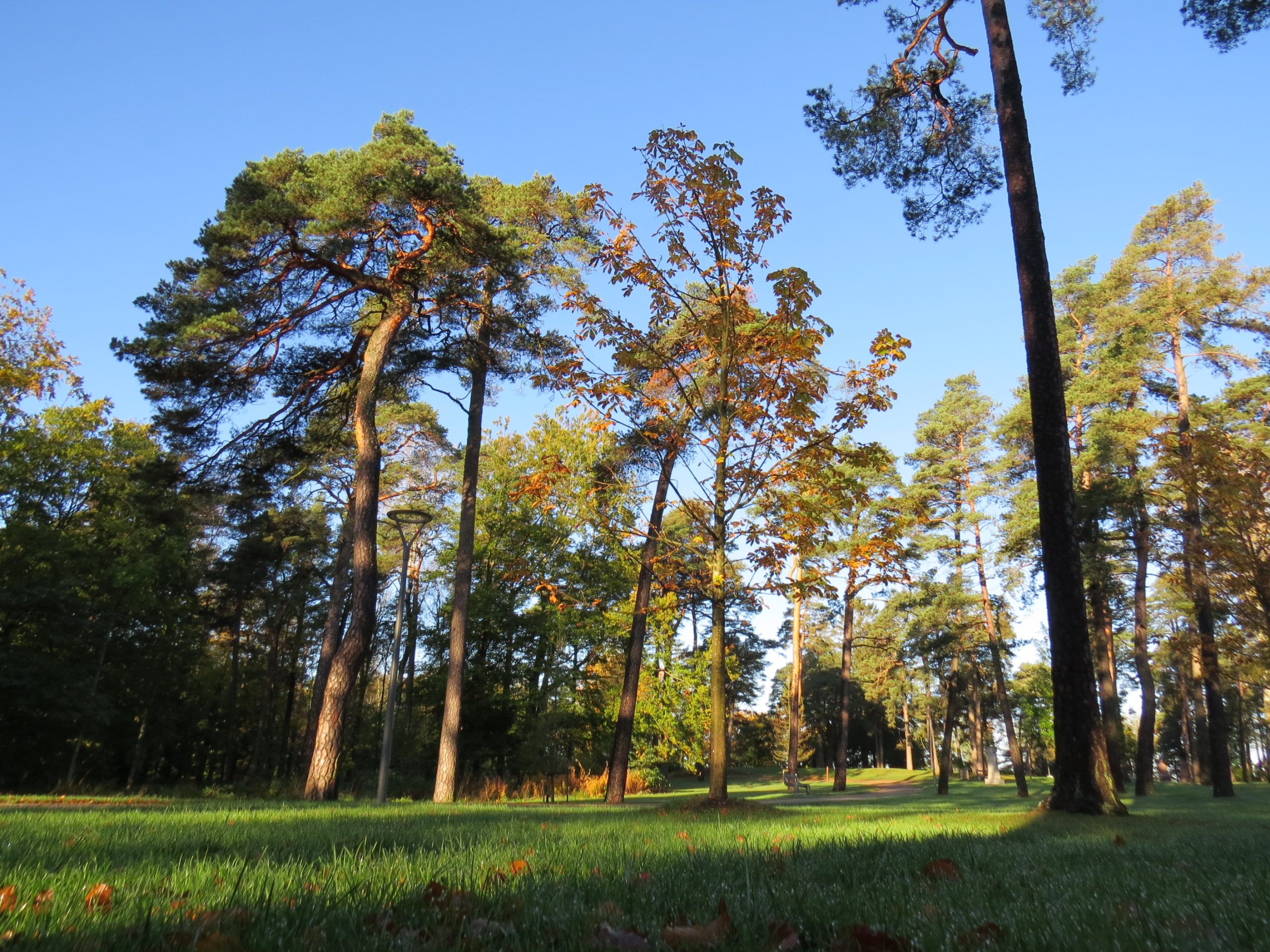 KIRKEPARKEN OG KULÅSPARKEN I SARPSBORG ER ÅRETS GRØNNE PARK 2021-2.jpg