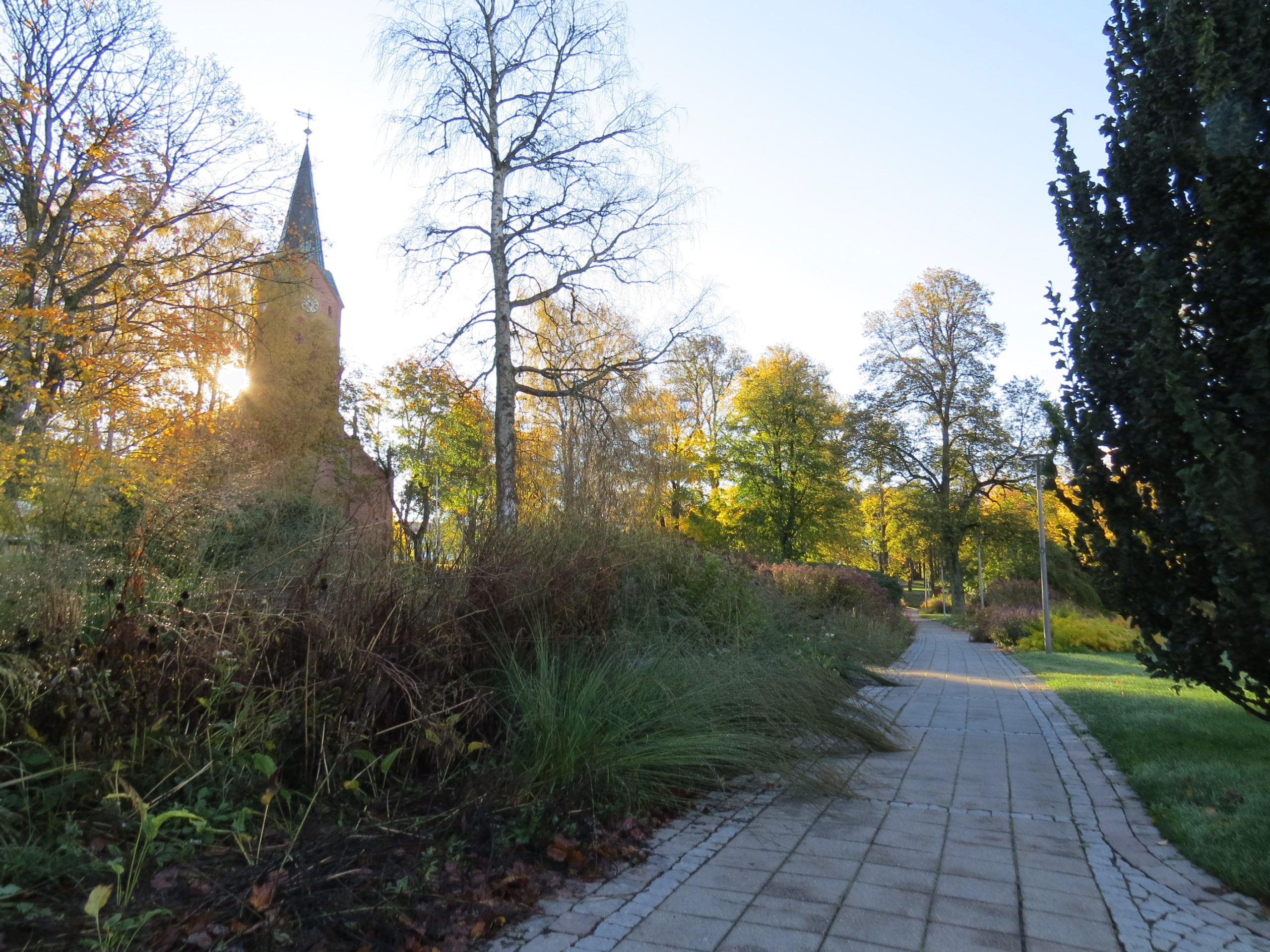 KIRKEPARKEN OG KULÅSPARKEN I SARPSBORG ER ÅRETS GRØNNE PARK 2021-3.jpg