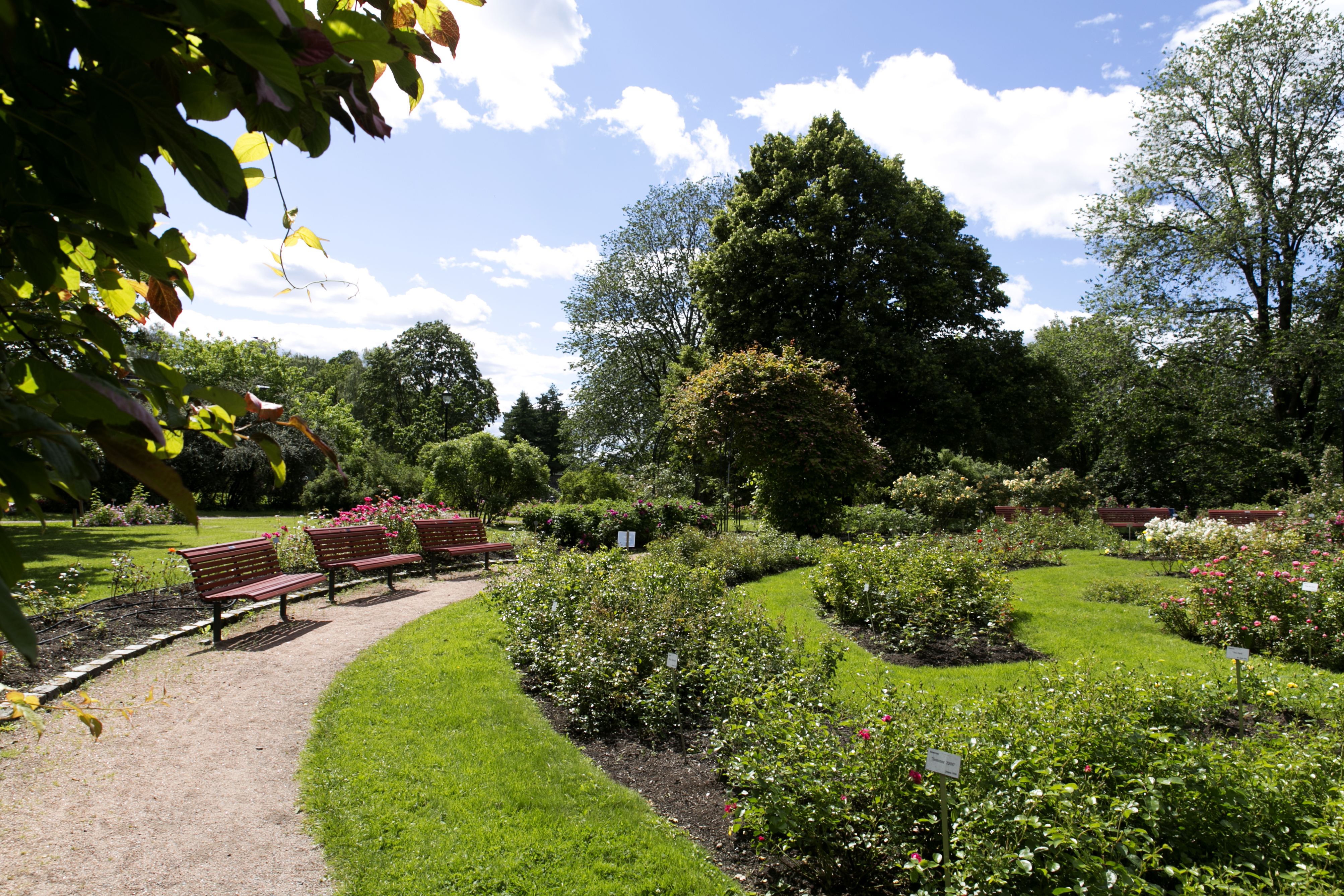 Pressemelding- Steen & Lund er tilbake i Frognerparken2.jpg