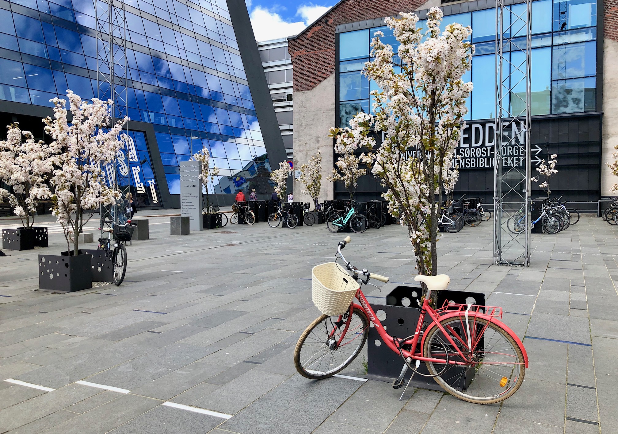 Regjeringen åpner for praktisk håndverksfag i ungdomsskolen5.jpg